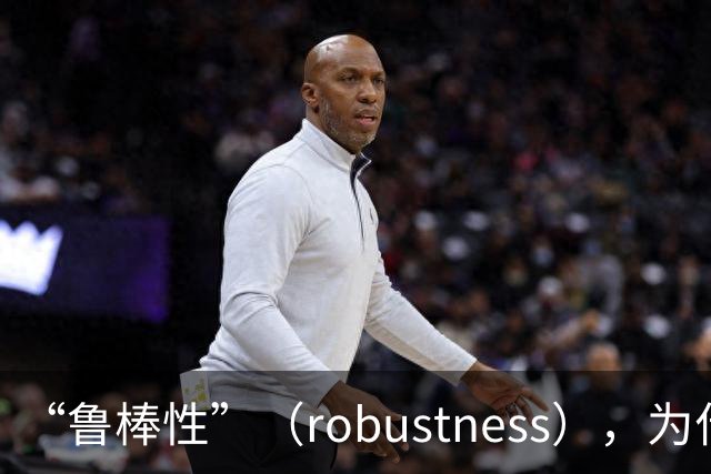 “鲁棒性”（robustness），为什么是糟糕的翻译？