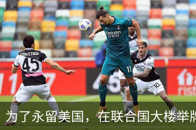 为了永留美国，在联合国大楼举牌抹黑中国的张晓宁，最终也算圆梦