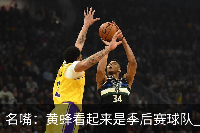 名嘴：黄蜂看起来是季后赛球队 米勒有望达到皮尔斯&双探花的级别