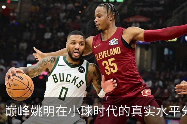 巅峰姚明在小球时代的真实水平分析