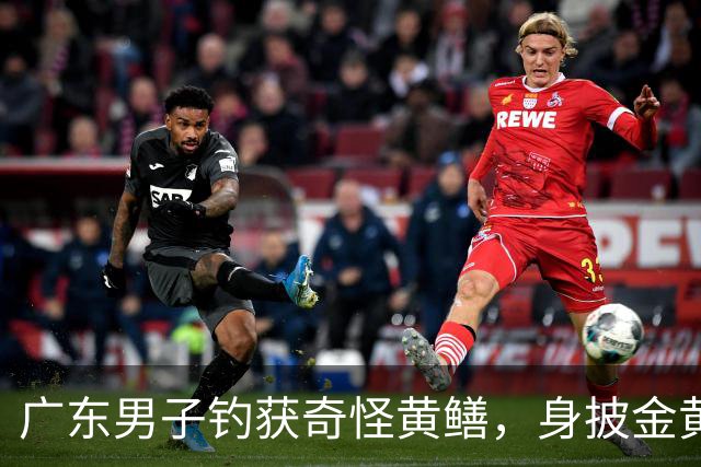广东男子钓获奇怪黄鳝，身披金黄蟒纹，网友：快放生！准备化蛟了！