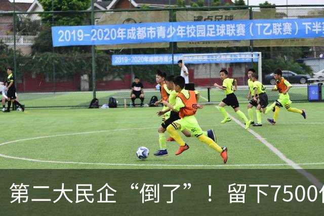 第二大民企“倒了”！留下7500亿债务窟窿，创始人被抓股权清零