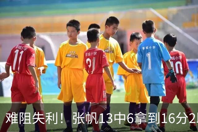 难阻失利！张帆13中6拿到16分2助 三分4中2